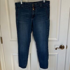 Miss Poured In Blue Ankle Jeans